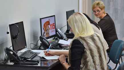 В столичном ЖКХ пожаловались на «нехватку коммунальной грамотности» у минчан. С какими запросами обращаются?