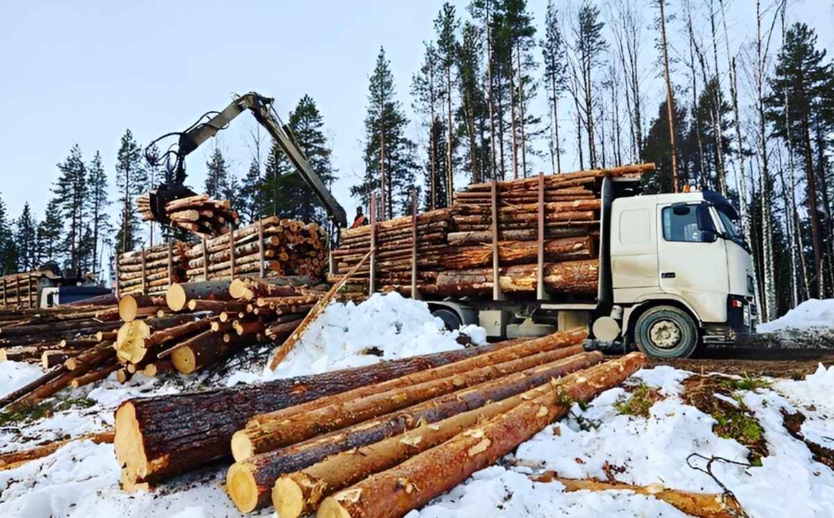 Фото иллюстрационное