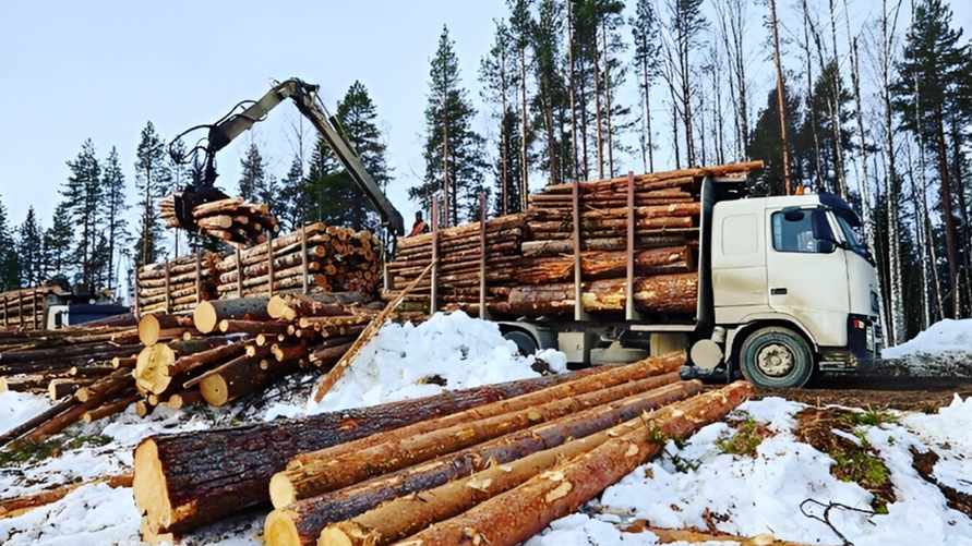 Фото иллюстрационное