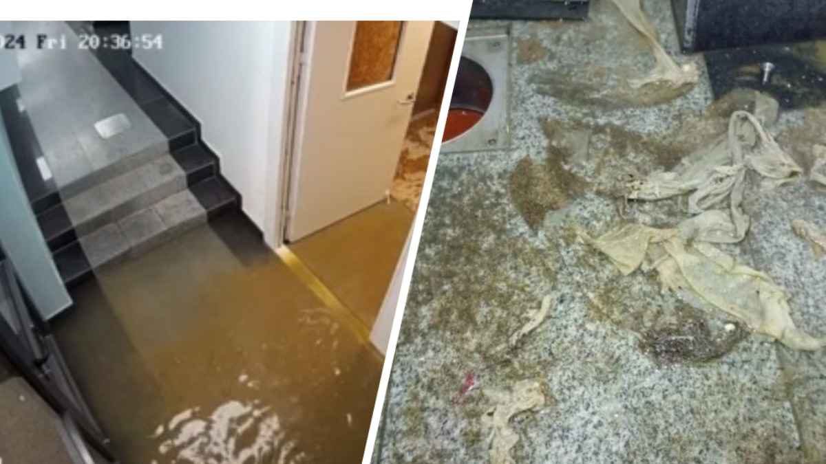 «Заходите понырять» - В «Минск-Мире» канализация затопила подъезд жилой многоэтажки