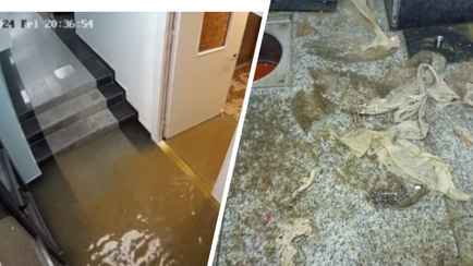 «Заходите понырять» — В «Минск-Мире» канализация затопила подъезд жилой многоэтажки