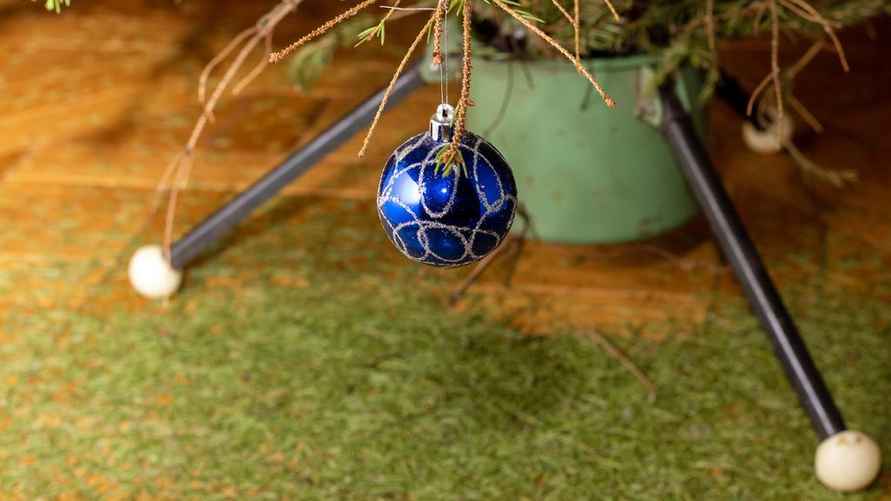 Не позволяйте ёлке осыпаться и сделайте несколько вещей сразу после покупки