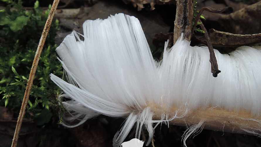 Фото: М. Лукьянчик, npbp.by