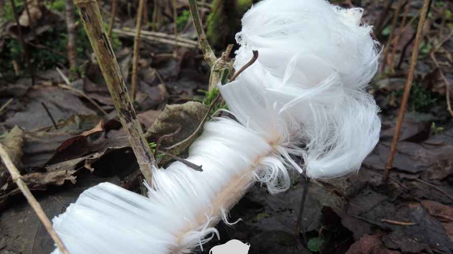 Фото: М. Лукьянчик, npbp.by