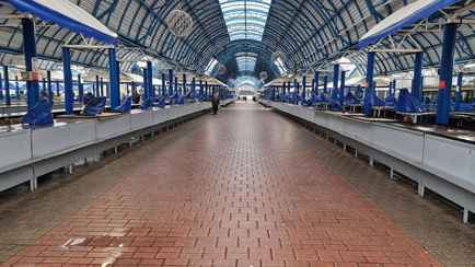 Продавцы на рынке в Минске пожаловались на 30%-ное повышение цен на фрукты