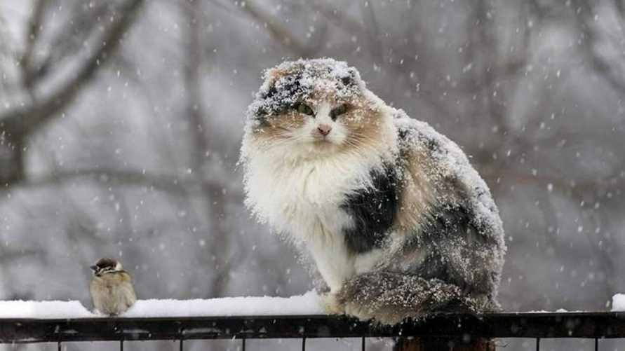 Фото иллюстрационное