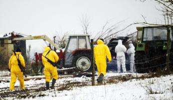 Беларусь запретила импорт продукции животноводства из Германии из-за вспышки ящура