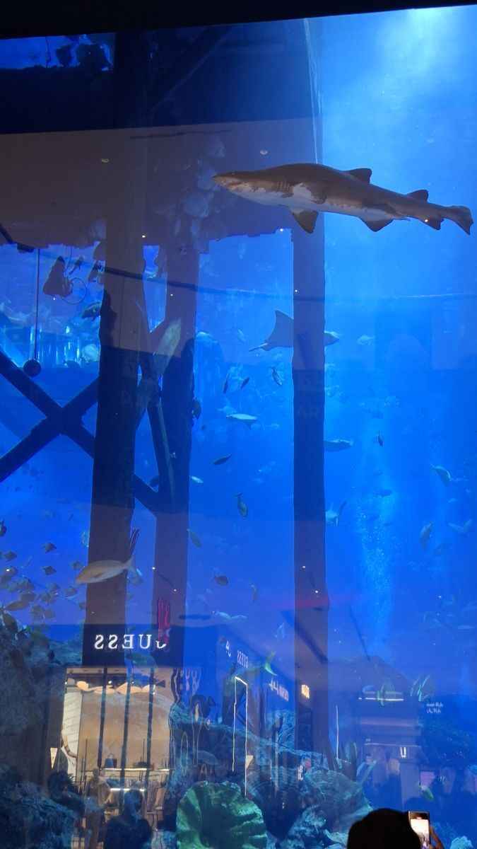 Фото Telegraf.news