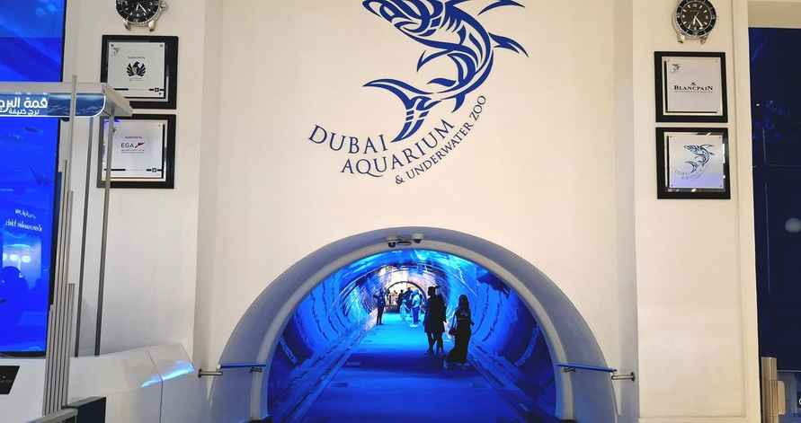 Фото Telegraf.news