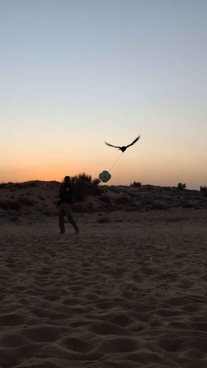 Что посетить в Дубае зимой за 4 дня? Фестиваль шопинга, завораживающая пустыня и гастрономические открытия