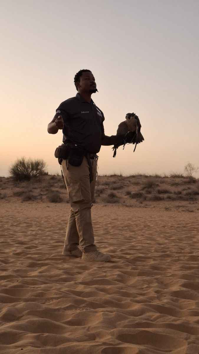 Что посетить в Дубае зимой за 4 дня? Фестиваль шопинга, завораживающая пустыня и гастрономические открытия