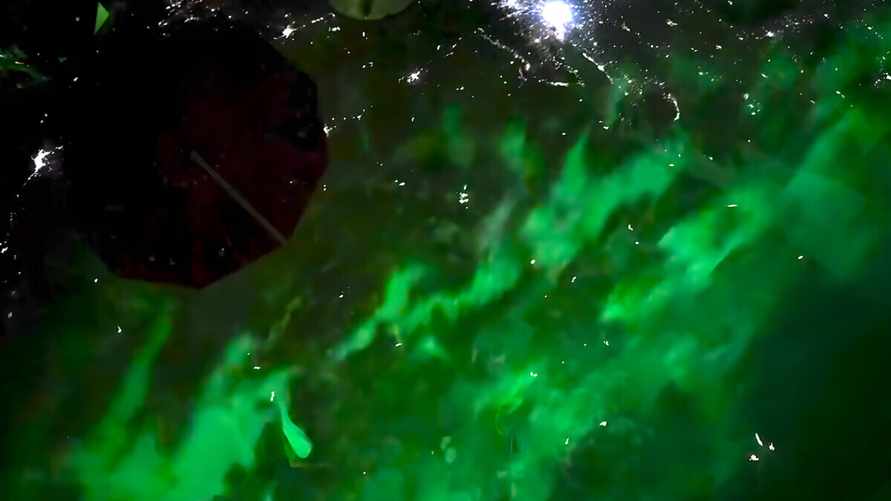 "Чистая магия" — Астронавт НАСА показал на видео, как выглядит полярное сияние из космоса