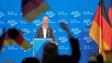 Более ста немецких депутатов выступили за запрет партии «Альтернатива для Германии»