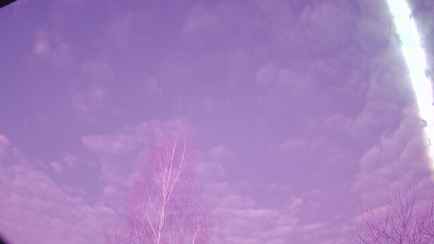 Жителей Смолевичского района попросили поискать «необычные камни». Под Минском упал метеорит?