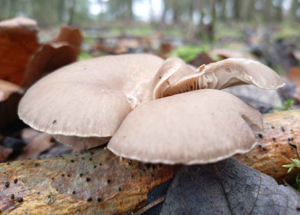 Фото: vk.com/semenova4321