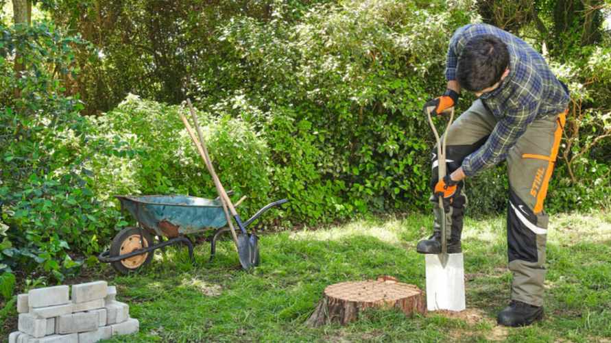 Как без усилий удалить пень дерева? Возьмите эти два средства с кухни