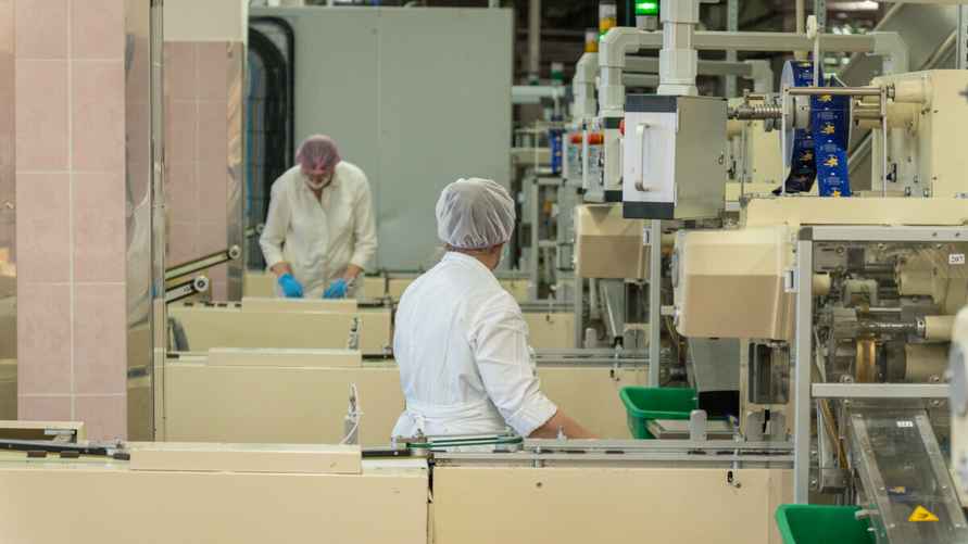 Процесс производства сладостей на фабрике "Коммунарка". Фото Telegraf.news