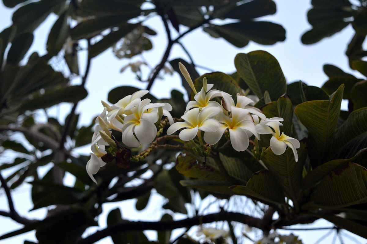 Фото Telegraf.news