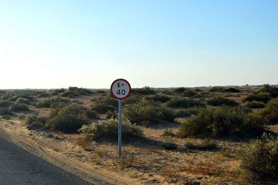 Фото Telegraf.news