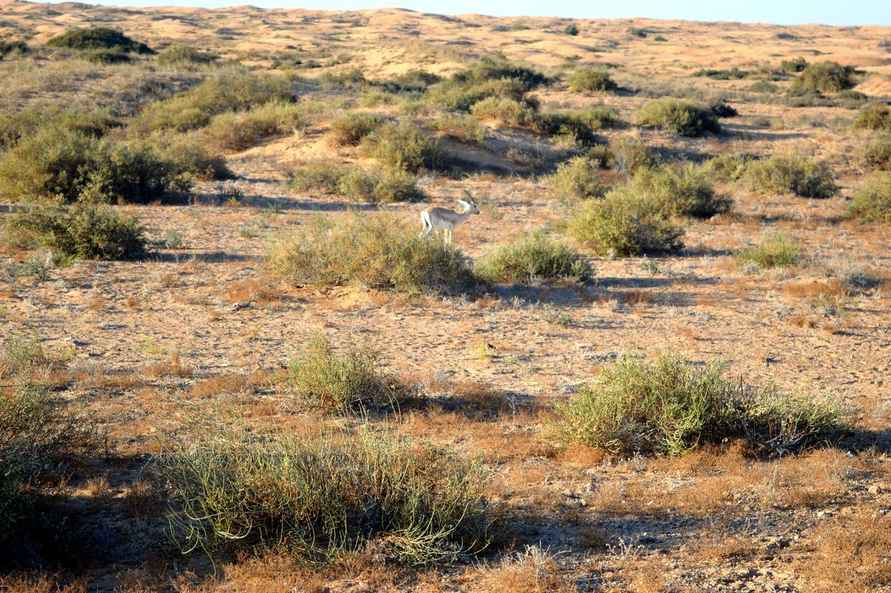 Фото Telegraf.news