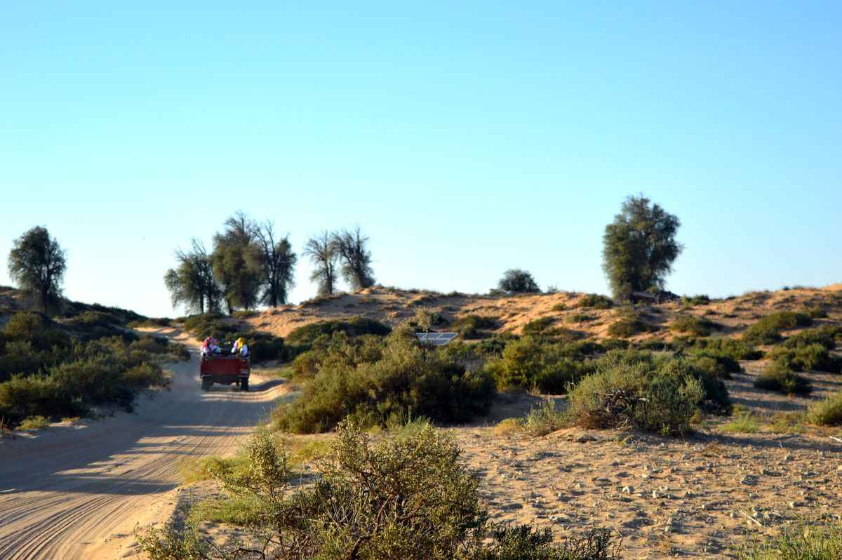 Фото Telegraf.news