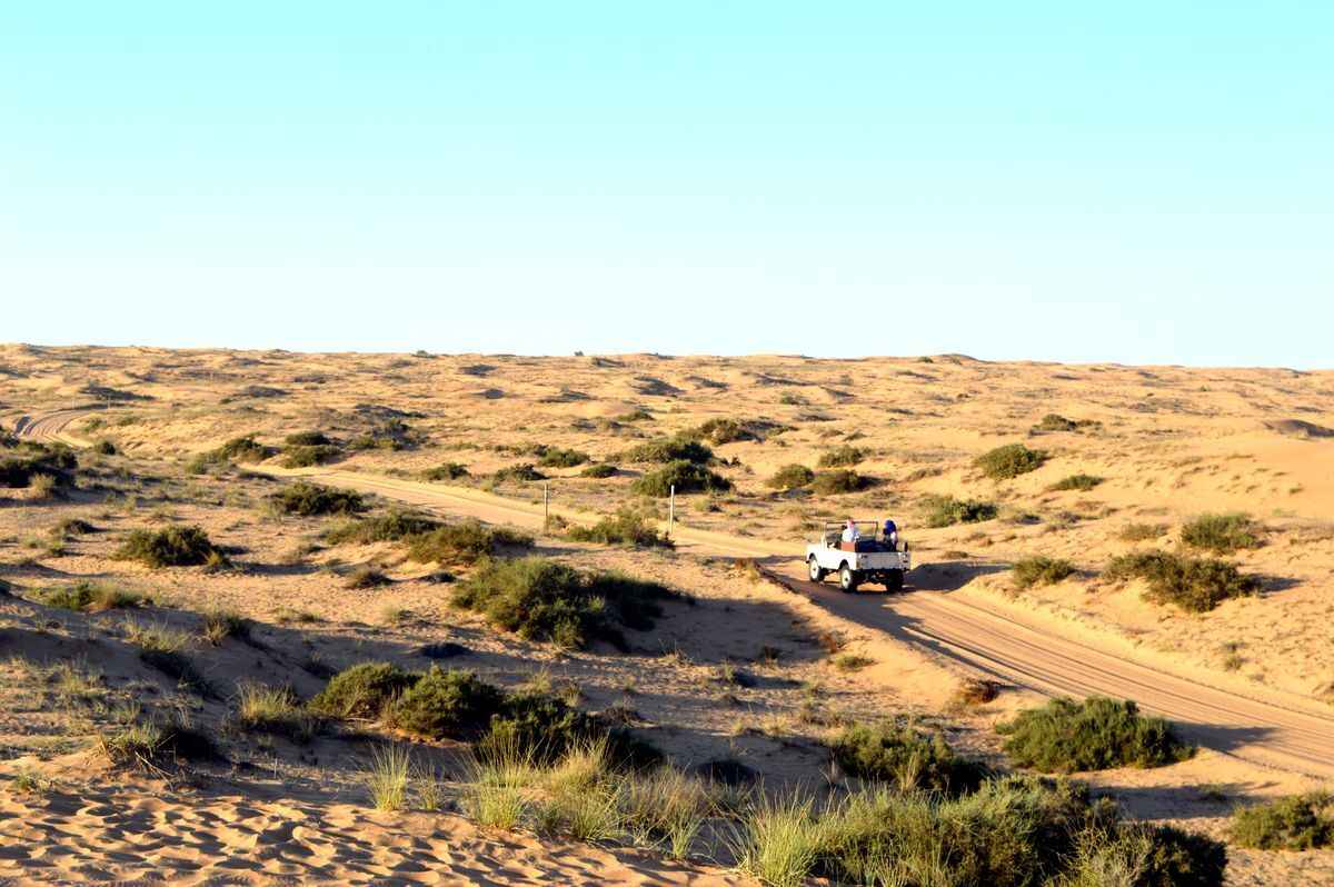 Фото Telegraf.news