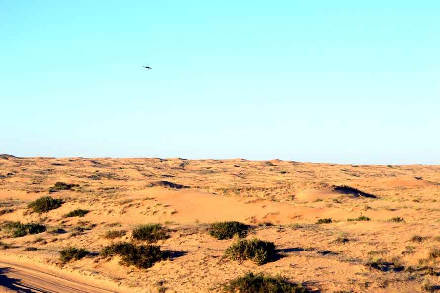 Фото Telegraf.news