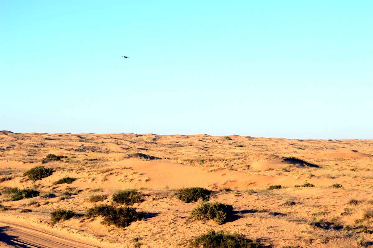 Фото Telegraf.news