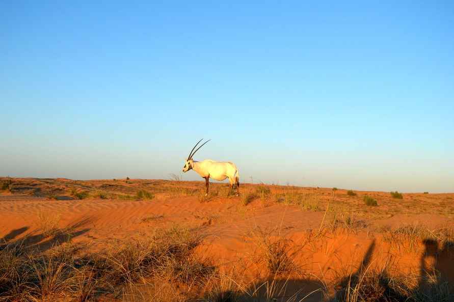 Фото Telegraf.news