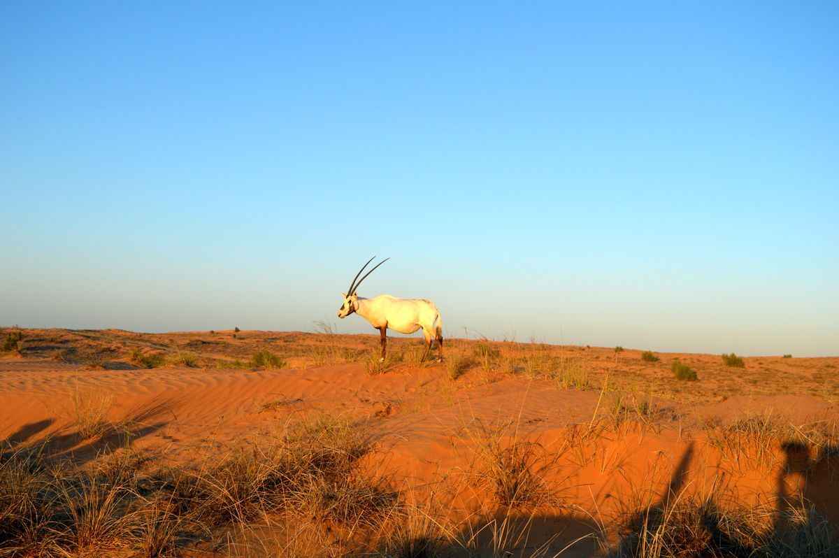 Фото Telegraf.news