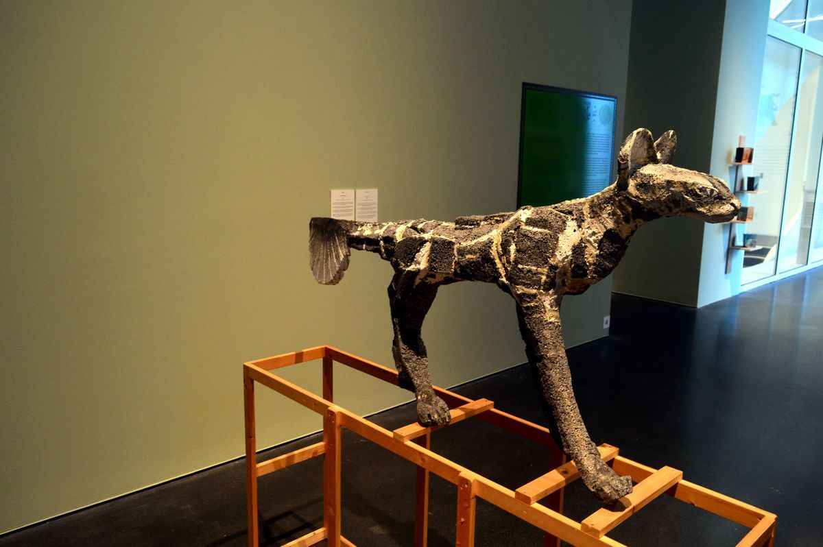 Фото Telegraf.news