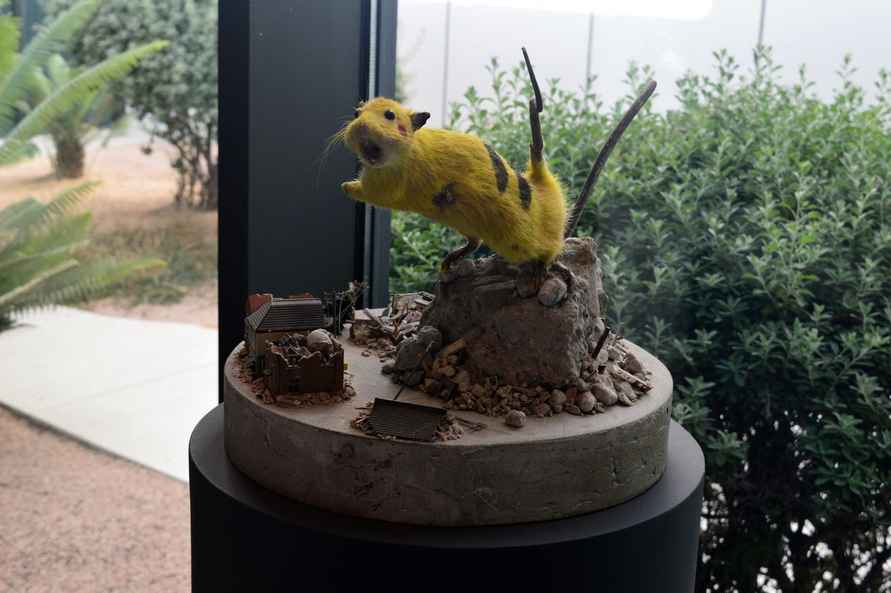 Фото Telegraf.news