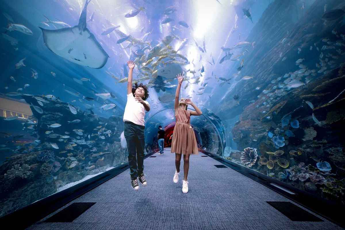 Дубай представил календарь распродаж и фестивалей на 2025 год. Когда лучше полететь туда белорусам?