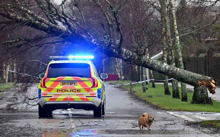 Порывы до 183 км/ч. В Ирландии шторм Эвион оставил без света более 700 тысяч людей