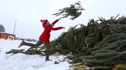 ЖКХ Минска предложило белорусам сдать новогодние ёлки на переработку. Куда нести?