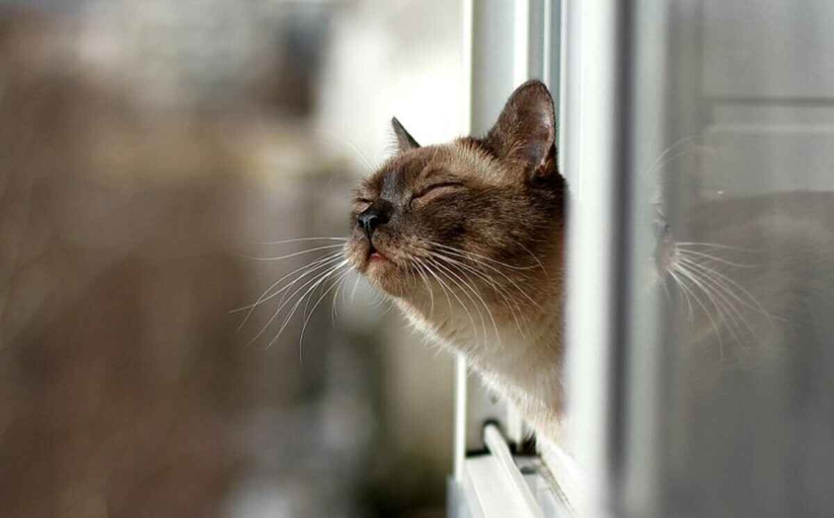 Фото иллюстрационное