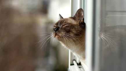 «Не исключены даже суточные рекорды» — Белорусам пообещали тёплую субботу