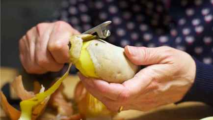 Можно ли белорусам есть зеленую картошку? Химик объяснила, при каких дозах ждут «тошнота» и «галлюцинации»