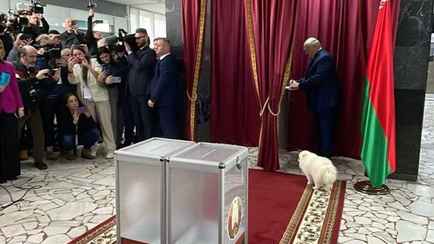 «Нам даже выгодно» — Лукашенко рассказал, почему ему «фиолетово» на резолюцию ЕС. Готов ли начать переговоры?