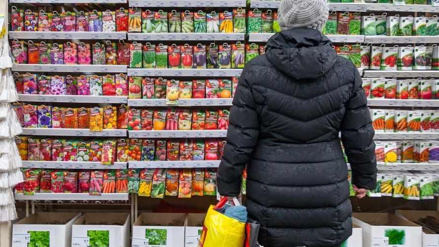 "Не покупайте по красивой картинке" - Садовод назвал 3 фактора, которые не дадут "промахнуться" при выборе семян помидоров