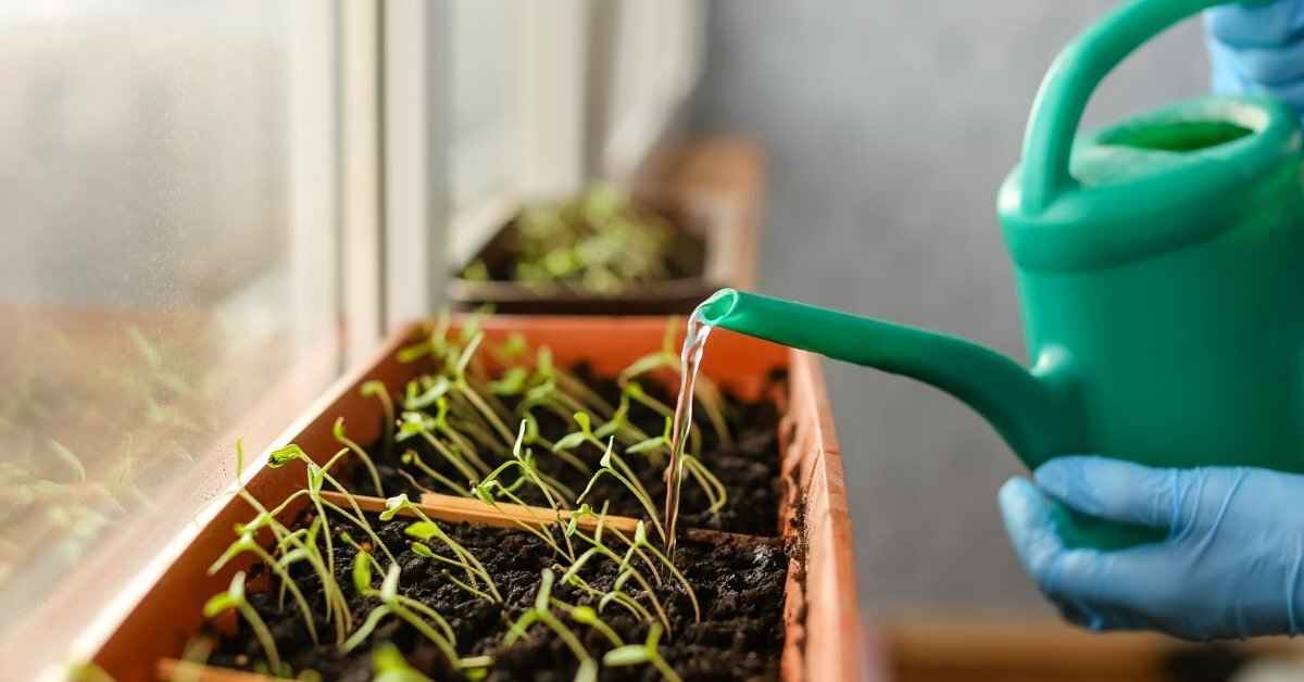 Фото иллюстрационное