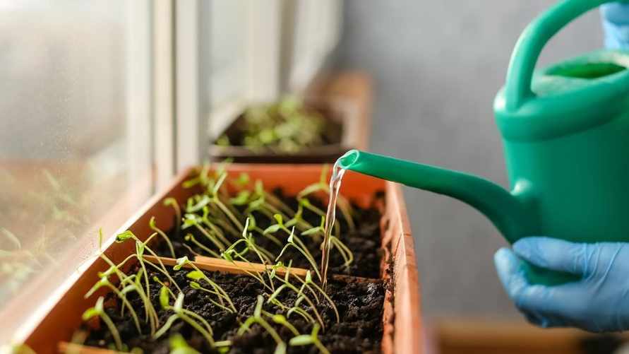 Фото иллюстрационное