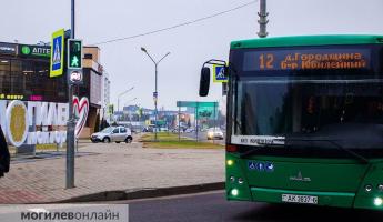 В Могилёве появились пешеходные светофоры, которых нет в ПДД. Что значит белый сигнал?