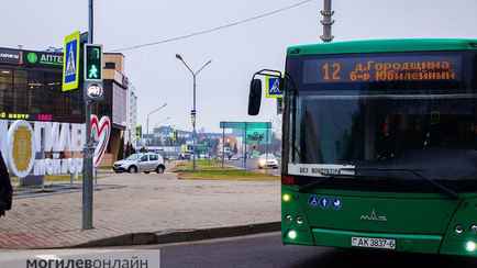В Могилёве появились пешеходные светофоры, которых нет в ПДД. Что значит белый сигнал?