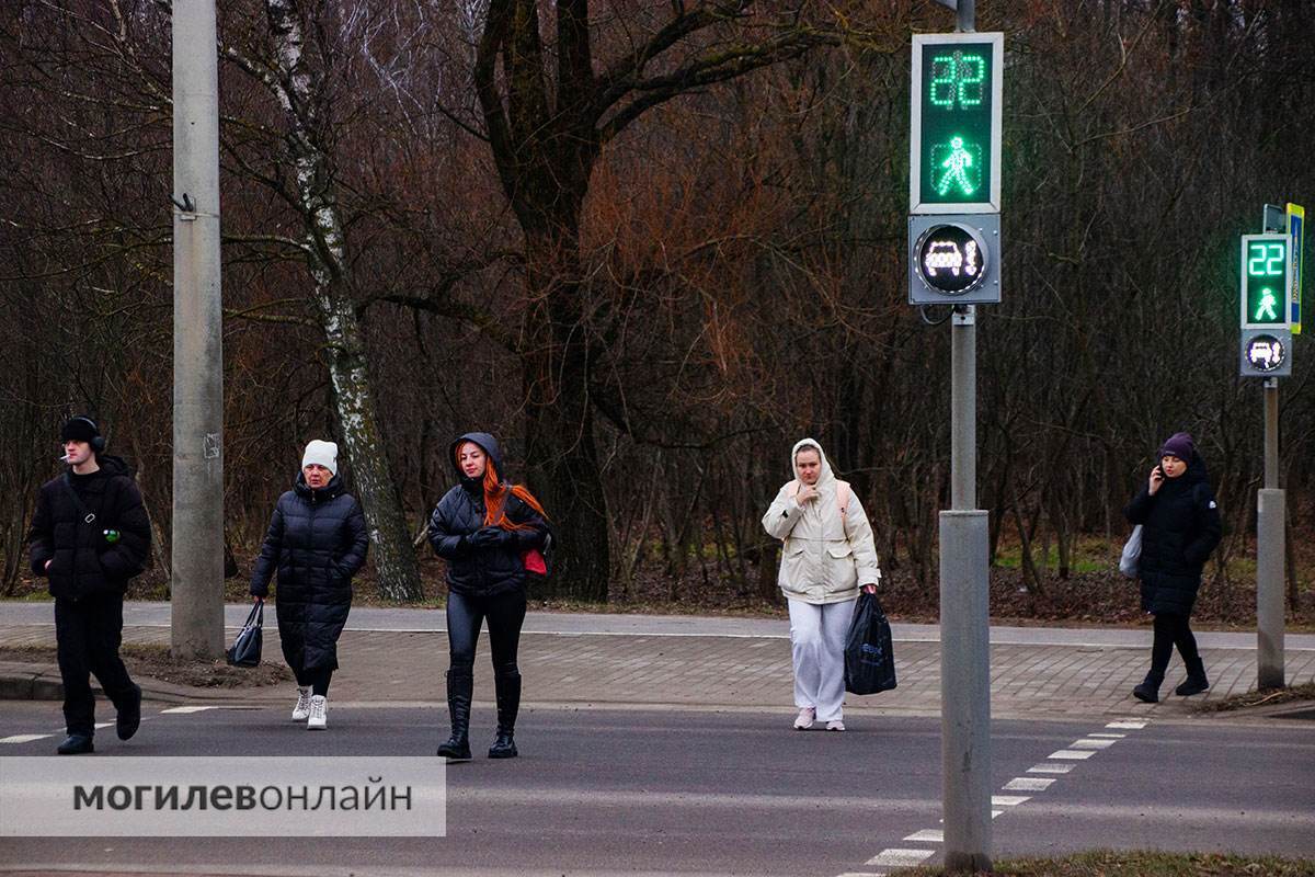 В Могилёве появились пешеходные светофоры, которых нет в ПДД. Что значит белый сигнал?