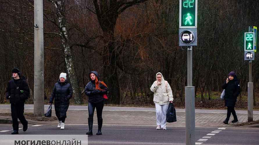 Фото: mogilev.online