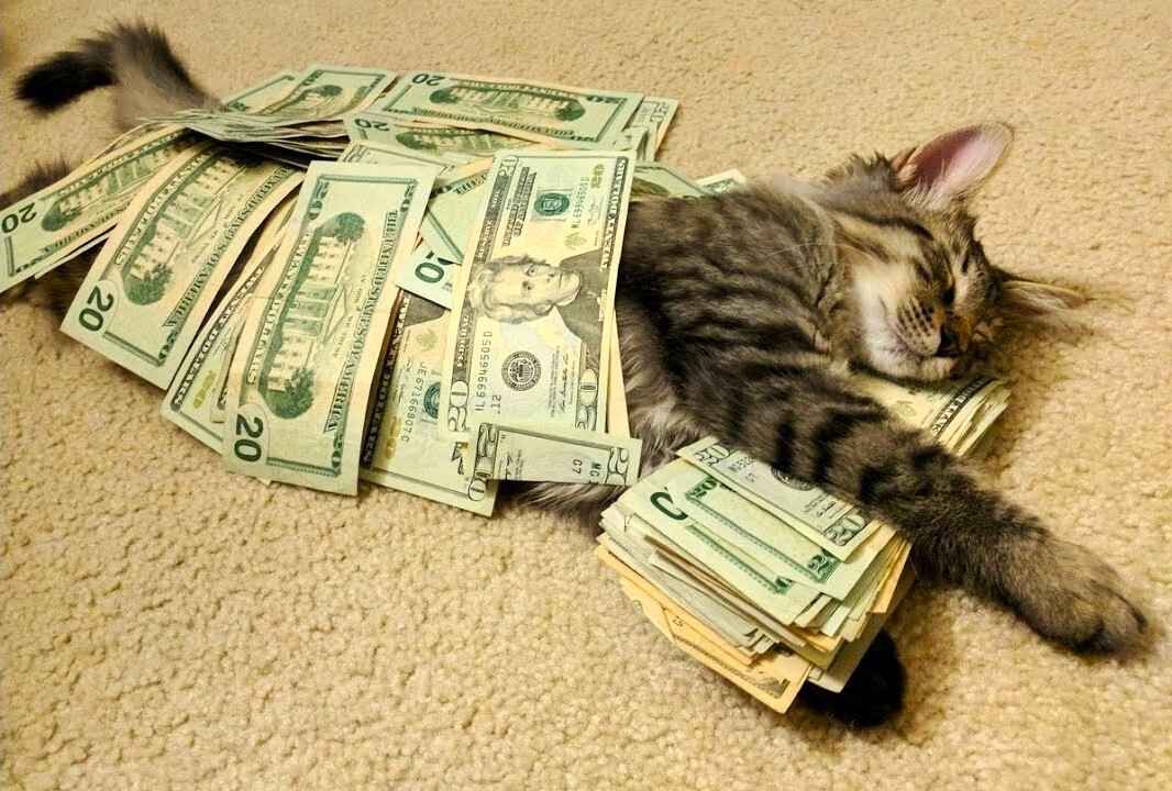 Доллар в Беларуси вырос на 0,15%, а российский рубль побил рекорд за 3,5 месяца. Что с евро?