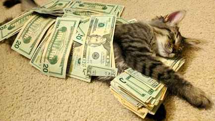 Доллар в Беларуси вырос на 0,15%, а российский рубль побил рекорд за 3,5 месяца. Что с евро?