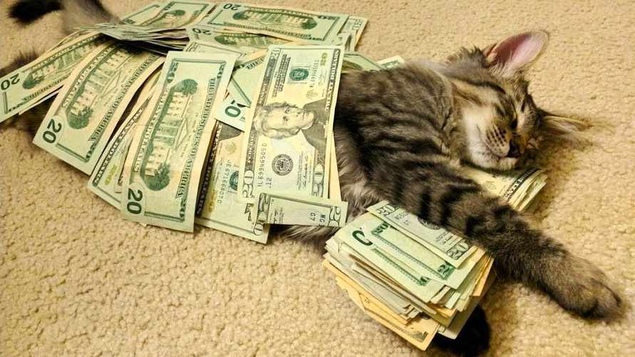 Доллар в Беларуси вырос на 0,15%, а российский рубль побил рекорд за 3,5 месяца. Что с евро?