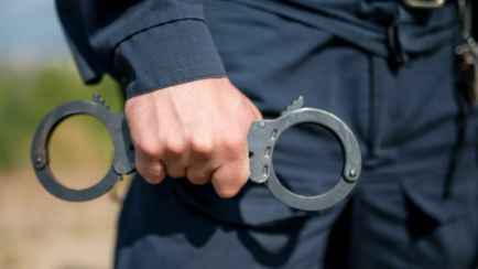 В Витебской области нашли повешенную собаку. Милиция объявила поиски живодёра